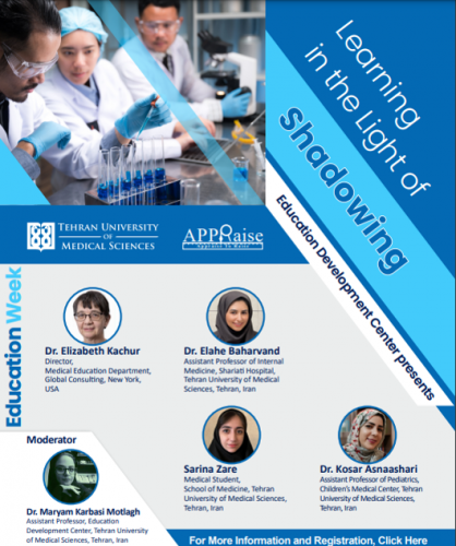 International specialized webinar entitled: "Learning in the light of Shadowing"